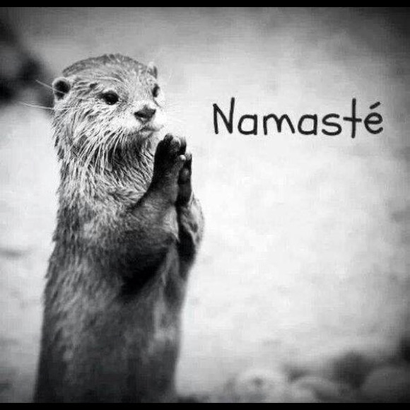 Meet your Posher, Please Follow Me - Picture 2 of 2